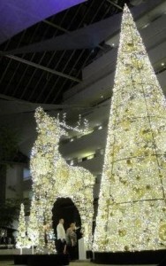 Magical Reindeer Appendages (Burswood Casino Christmas display)