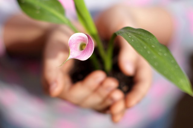 Tips on how to overcome grief or loss #1