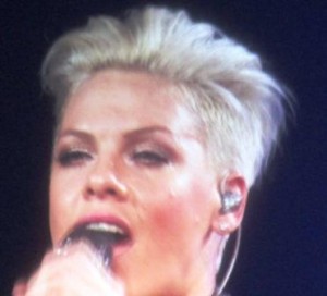 Pink, The Truth About Love Tour (part 2)