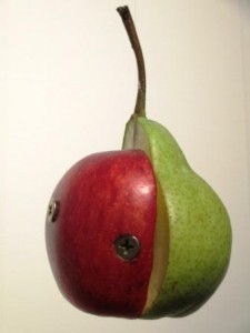 Something fruity is going on at the Art Gallery WA