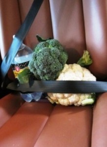 Car Seat 1 219×300.jpg Car Seat 1 219x300.jpg