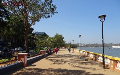 Opinion: Shared Path Shared Responsibility