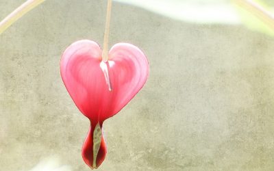 Experiencing a new kind of romance