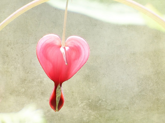 Experiencing a new kind of romance