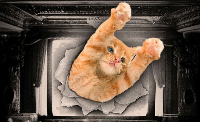 Movie Review: CatVideoFest