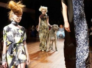 Plus sized model ‘walks’ at 2013 Perth Fashion Festival