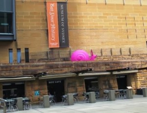Sydney Snail Pink 300×232.jpg Sydney Snail Pink 300x232.jpg