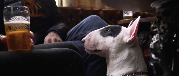 We Dont Dogs 680×289 We Dont Dogs 680x289